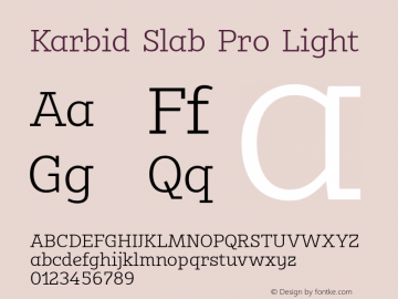 Karbid Slab Pro Light Version 7.60图片样张