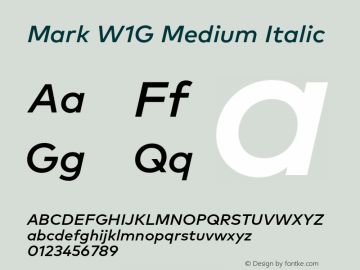 Mark W1G Medium Italic Version 1.00, build 8, g2.6.4 b1272, s3图片样张