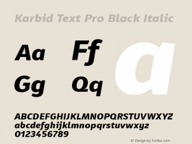 Karbid Text Pro Black Italic Version 7.60图片样张