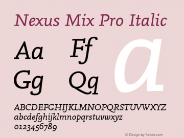 Nexus Mix Pro Italic Version 7.600, build 1027, FoPs, FL 5.04图片样张