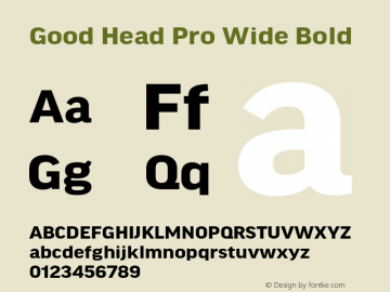 Good Head Pro Wide Bold Version 7.60图片样张