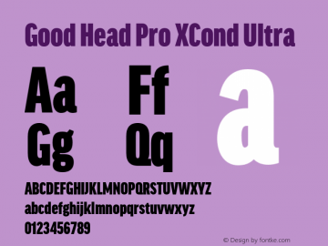 Good Head Pro XCond Ultra Version 7.60图片样张