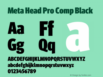 Meta Head Pro Comp Black Version 7.600, build 1027, FoPs, FL 5.04图片样张