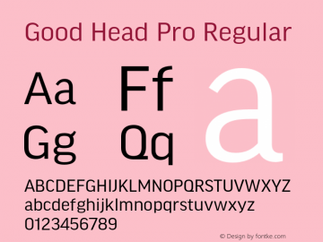 Good Head Pro Version 7.60图片样张