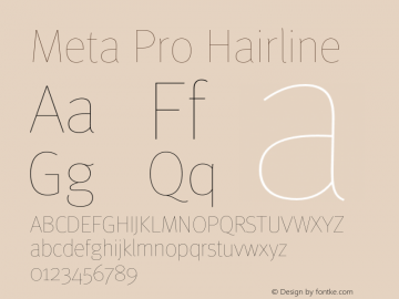 Meta Pro Hairline Version 7.600, build 1027, FoPs, FL 5.04图片样张