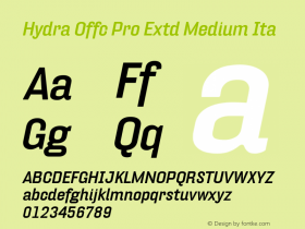 Hydra Offc Pro Extd Medium Ita Version 7.504; 2012; Build 1022图片样张