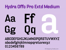 Hydra Offc Pro Extd Medium Version 7.504; 2012; Build 1022图片样张