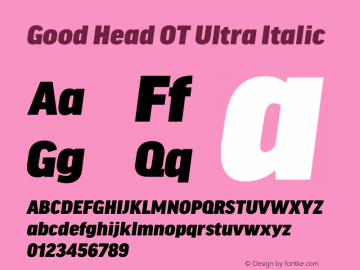 Good Head OT Ultra Italic Version 7.60图片样张