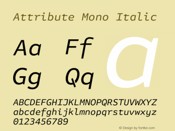 Attribute Mono Italic Version 7.601, build 1028, FoPs, FL 5.04图片样张