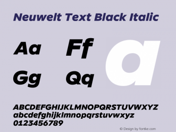 Neuwelt Text Black Italic Version 1.00, build 19, g2.6.2 b1235, s3图片样张