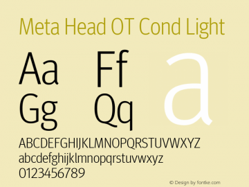 Meta Head OT Cond Light Version 7.600, build 1027, FoPs, FL 5.04图片样张