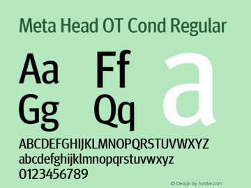 Meta Head OT Cond Version 7.600, build 1027, FoPs, FL 5.04图片样张