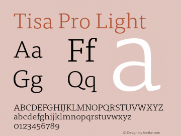 Tisa Pro Light Version 7.600, build 1027, FoPs, FL 5.04图片样张