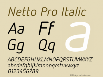 Netto Pro Italic Version 7.600, build 1027, FoPs, FL 5.04图片样张