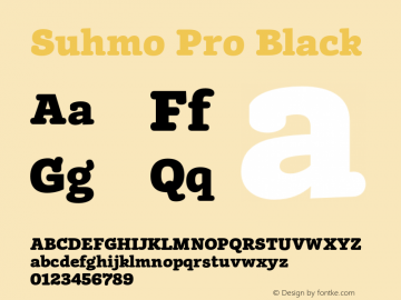 Suhmo Pro Black Version 7.60图片样张