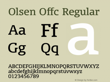 Olsen Offc Version 7.504; 2010; Build 1002图片样张