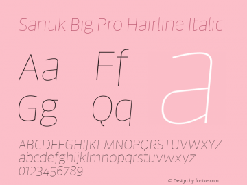 Sanuk Big Pro Hairline Italic Version 7.504; 2016; Build 1026图片样张