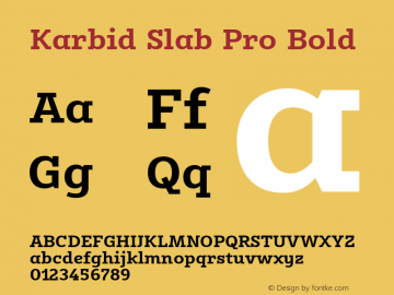 Karbid Slab Pro Bold Version 7.60图片样张