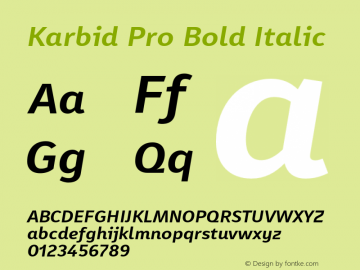 Karbid Pro Bold Italic Version 7.60图片样张