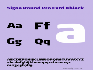 Signa Round Pro Extd Xblack Version 7.504; 2017; Build 1028图片样张