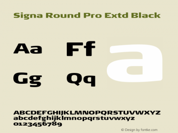 Signa Round Pro Extd Black Version 7.504; 2017; Build 1028图片样张