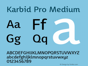 Karbid Pro Medium Version 7.60图片样张