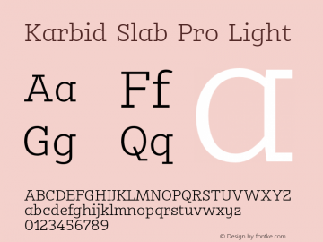Karbid Slab Pro Light Version 7.60图片样张