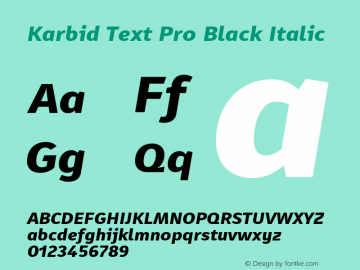 Karbid Text Pro Black Italic Version 7.60图片样张