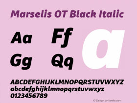 Marselis OT Black Italic Version 7.600, build 1028, FoPs, FL 5.04图片样张