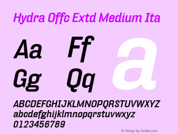 Hydra Offc Extd Medium Ita Version 7.504; 2010; Build 1022图片样张
