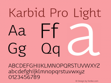 Karbid Pro Light Version 7.60图片样张