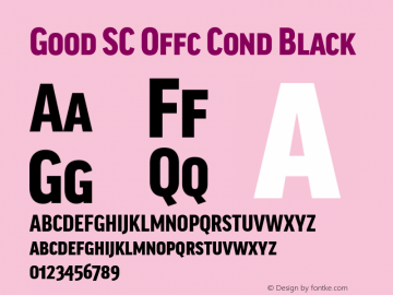 Good SC Offc Cond Black Version 7.504; 2010; Build 1022图片样张