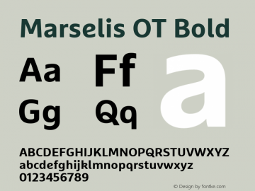 Marselis OT Bold Version 7.600, build 1028, FoPs, FL 5.04图片样张