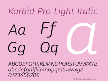 Karbid Pro Light Italic Version 7.60图片样张