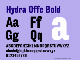 Hydra Offc Bold Version 7.504; 2010; Build 1022图片样张