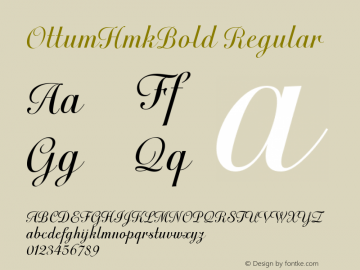 OttumHmkBold Regular Macromedia Fontographer 4.1.4 12/6/1999 Font Sample