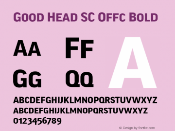Good Head SC Offc Bold Version 7.504; 2010; Build 1021图片样张