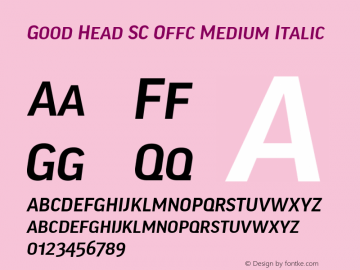 Good Head SC Offc Medium Italic Version 7.504; 2010; Build 1021图片样张