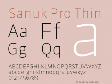 Sanuk Pro Thin Version 7.504; 2010; Build 1028图片样张