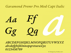 Garamond Premr Pro Med Capt Italic Version 1.014;PS 001.000;Core 1.0.38;makeotf.lib1.6.6565图片样张