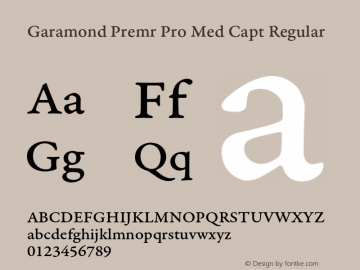 Garamond Premr Pro Med Capt Regular Version 2.000;PS 2.000;hotconv 1.0.50;makeotf.lib2.0.16970 Font Sample