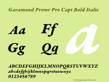 Garamond Premr Pro Capt Bold Italic Version 2.000;PS 2.000;hotconv 1.0.50;makeotf.lib2.0.16970 Font Sample