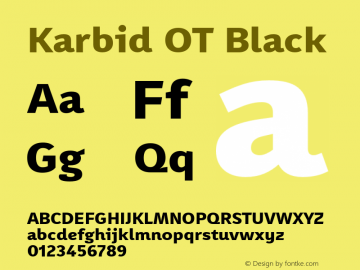 Karbid OT Black Version 7.60图片样张