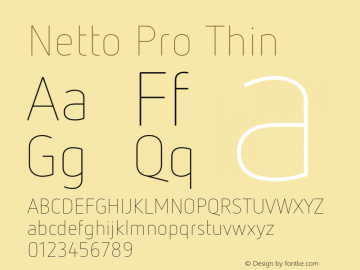 Netto Pro Thin Version 7.600, build 1027, FoPs, FL 5.04图片样张