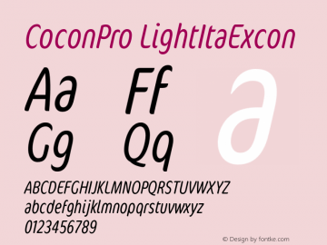 CoconPro-LightItaExcon Version 7.504; 2007图片样张