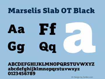 Marselis Slab OT Black Version 7.504; 2013; Build 1034图片样张