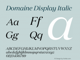 Domaine Display Italic Version 1.004图片样张