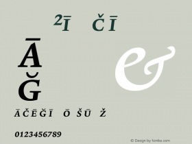 LexiconNo2ItalicC Italic Version 001.000图片样张