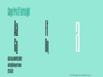Coign Pro 52 ExtraLight Version 2.001图片样张