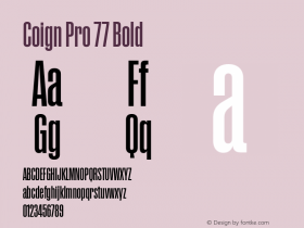 Coign Pro 77 Bold Version 2.001图片样张